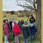 Schüler auf Spurensuche in Streuobstwiesen